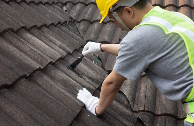 Tile Roof Restoration